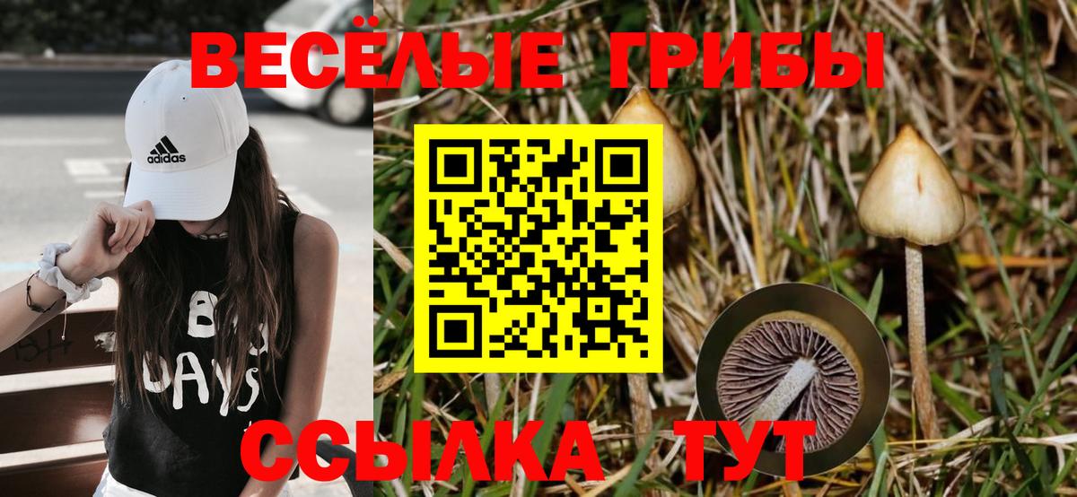 Галлюциногенные грибы MAGIC MUSHROOMS Белебей
